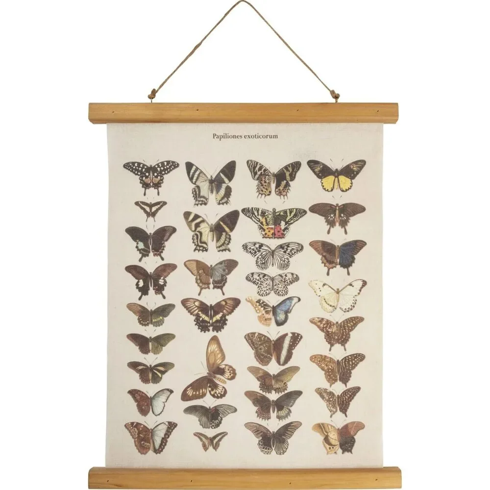 Papiliones Exoticorum Butterfly Print Decorative Canvas Wall Decor | 15.75